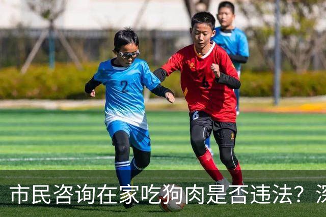 市民咨询在家吃狗肉是否违法？深圳官方回复……